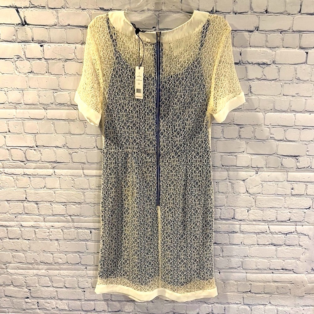 Elegant Cream and Blue Lace Dress